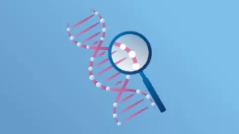 Visuel axe 1