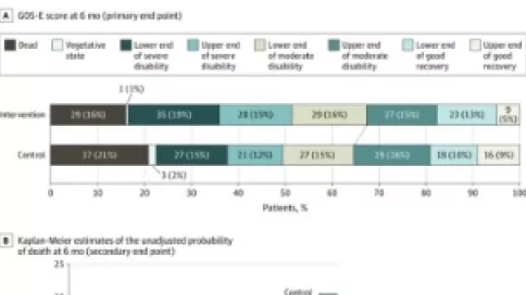 Visuel axe 4 - Outcomes at 6 Months